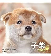 カレンダー2026 子柴 こしば（月めくり/卓上・リング/柴犬） (ヤマケイ