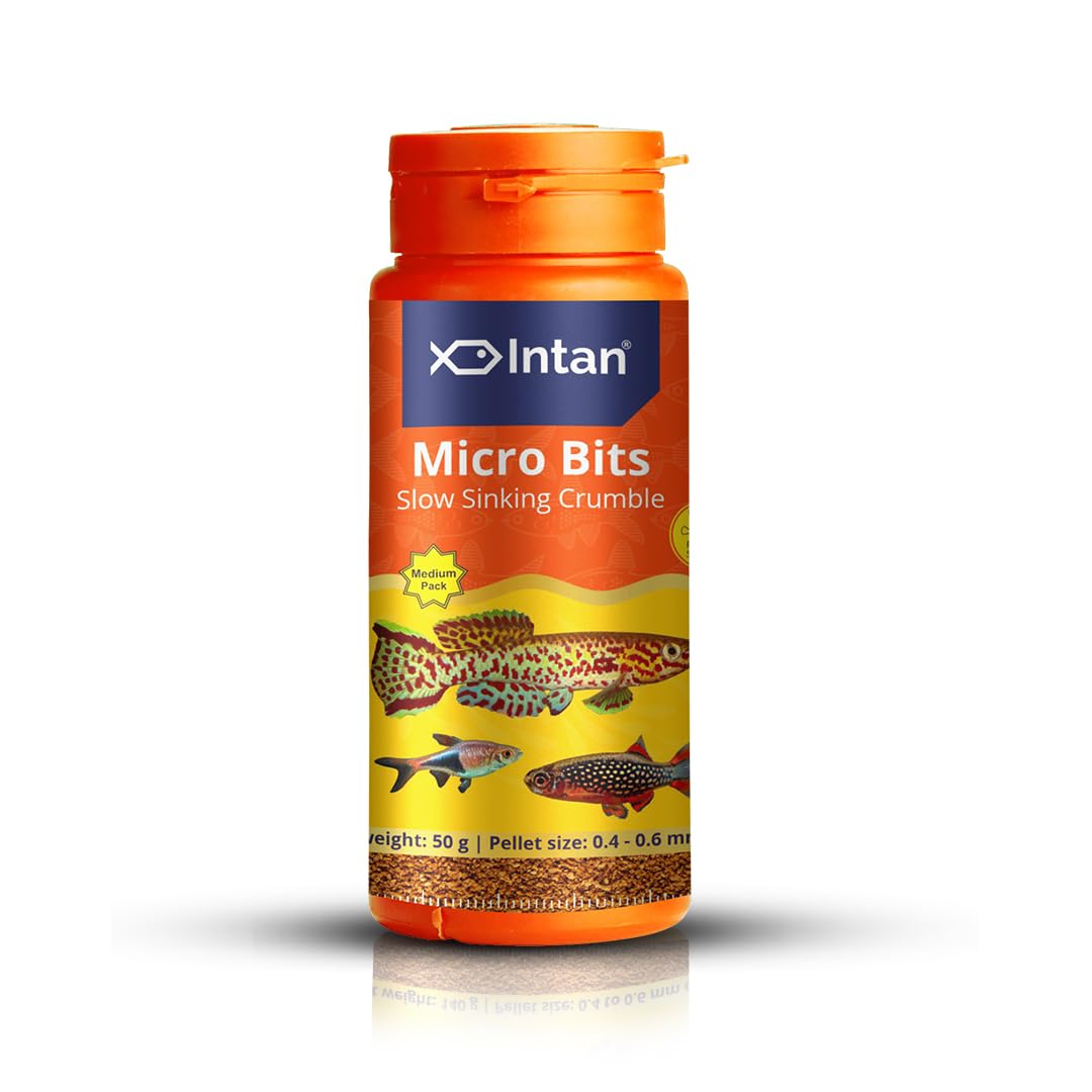 Growel Intan Micro Bits (0.4-0.6mm Slow Sinking Crumble) | 50gm - Highly Nutritious Ornamental Fish Food for Small Mouths - Killifish, Tetras, Rasboras & Danios