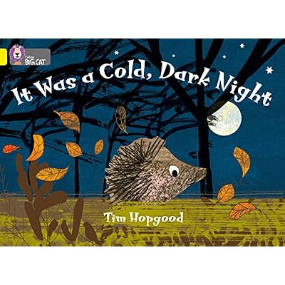 It Was a Cold Dark Night