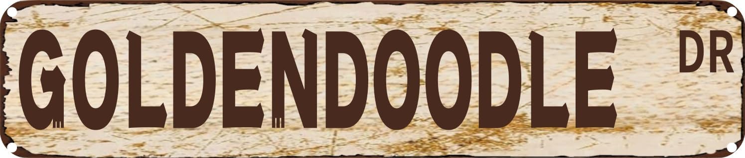 Vintage Tin Sign Retro Metal Wall Decor GOLDENDOODLE DR Rustic Aluminum Plaque for Home,Bar,Kitchen,Garage,Man Cave 4x16 Inch