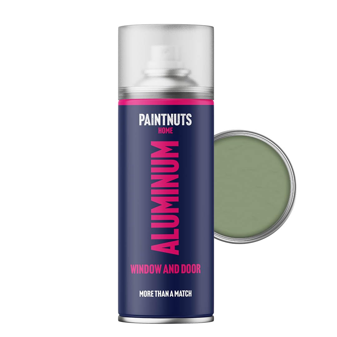 Paintnuts Pale Green Aluminium Window & Door Paint - Ral-6021 - Gloss 400Ml Spray Can