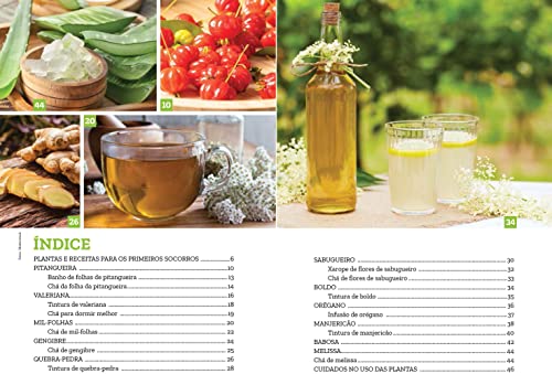 Plantas Medicinais Volume 7: Plantas e Receitas para PRIMEIROS SOCORROS