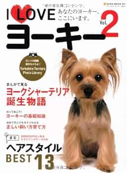 ヨーキー　80　合皮　ロング　その２ ヨーキー 80 合皮 ロング その2 ヨーキー 80 合皮 ロング その2
