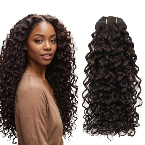 Sassina Natural Wave Clip in Extensions