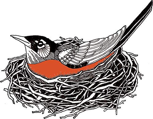 Robin Redbreast in Her Nest Illustration Window Truck Car Vinyl Bumper Sticker Decal 5'' x 4''