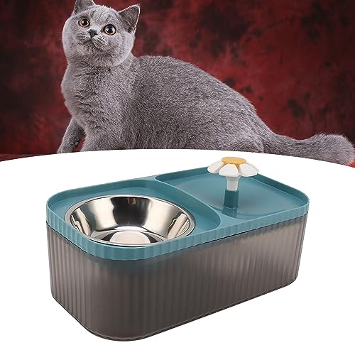 Fuente de agua y comedero para gatos 2 en 1 azul