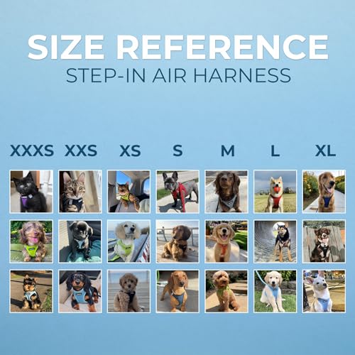 Image of Best Pet Supplies Voyager Step-in Air All Weather Mesh Harness and Reflective Dog 5ft Leash Combo with Neoprene Handle, for Small, Medium and Large Breed Puppies - Set (Black), X-Small