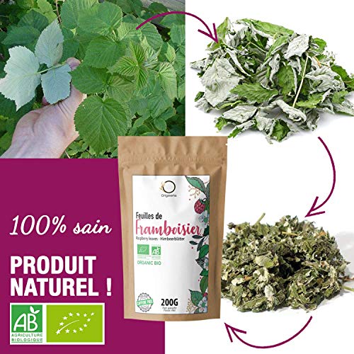 ☘️ BIO THEE VAN FRAMBOZENBLAD 200g | Kruidenthee voor Hoogzwangere Vrouwen, Kruidenthee bij Borstvoeding, Pijnlijke… - Afbeelding 6