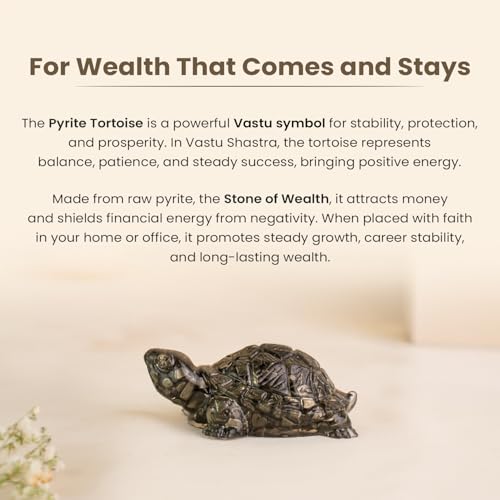 Image of Astrotalk Pyrite Tortoise (Pack of 2) | Vastu Items for Wealth, Stability & Prosperity | Resin Tortoise for Good Luck for Home & Office | Elegant Gift for Housewarming | Home Decor for Living Room