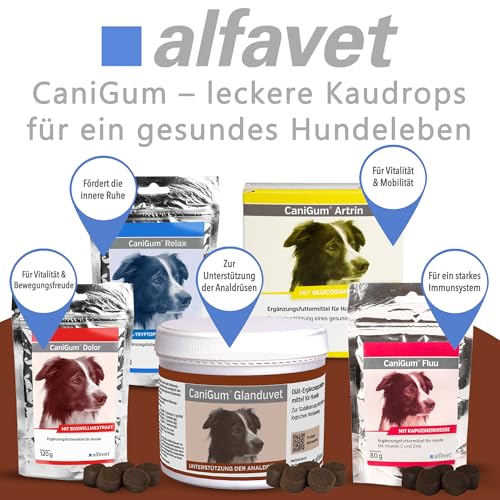 alfavet CaniGum Glanduvet, Kaudrops für Hunde bei Analdrüsenverstopfung, unterstützt Kotqualität und Darmwohl, Diät-Ergänzungsfuttermittel, Analdrüsenkur für Hunde 300 g
