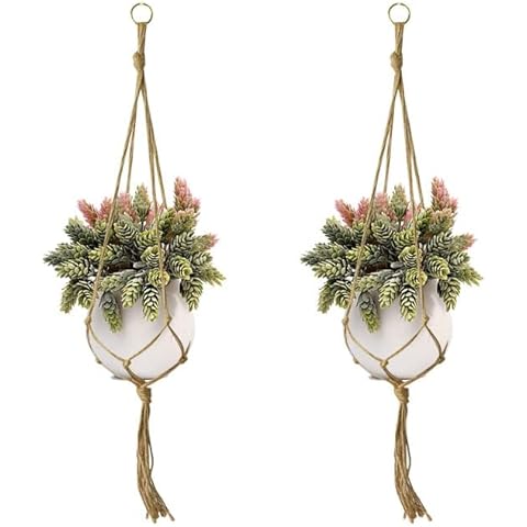zxkai 2 Pack Plant Hanger Indoor Outdoor,Handmade Flower Hanging Pot Rope Net Macrame Plant Hanger Flower Pot for Home Wall Decoration Courtyard Garden Planter Basket (Color : Style3) Cover