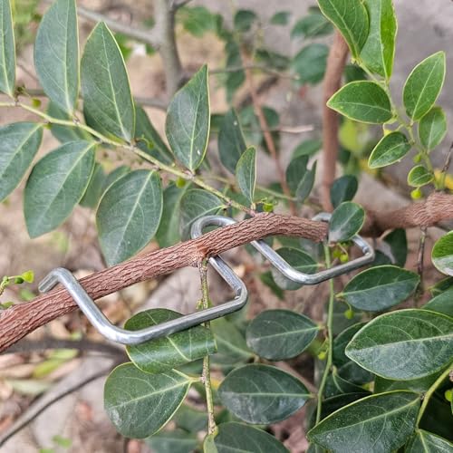 Dispersores para Ramas de Árbol para Frutas 20 Piezas miniatura 1