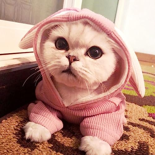 Ipetboom Roupas Para Animais De Estimação Moletom De Cachorro De Pelúcia Roupa De Gato Roupas De Cãe