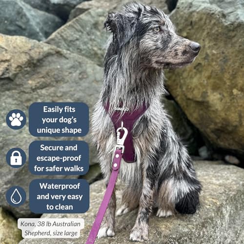 DJANGO Tahoe No Pull Dog Harness – Escape-Proof Dog Harness for Small Dogs with Front & Back Clips for Everyday Use – Adjustable, Padded, Reflective, Secure Fit, Easy On/Off – Raspberry Purple, Small by DJANGO - Image 2