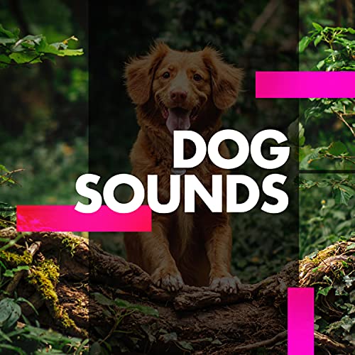 Dog Sounds Dog Music Digital Music