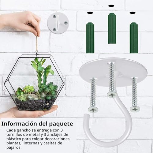 Miniatura 6 de 