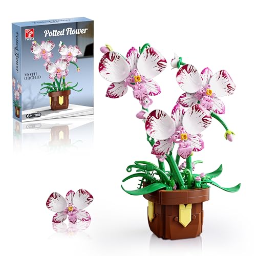 TYCOLE Botanicals Orchideen Bausatz - Künstliche Blume Pflanzen Deko für Home Office, Geschenk für Erwachsene Frauen Mädchen, Geburtstag, Halloween, Weihnachten Modell