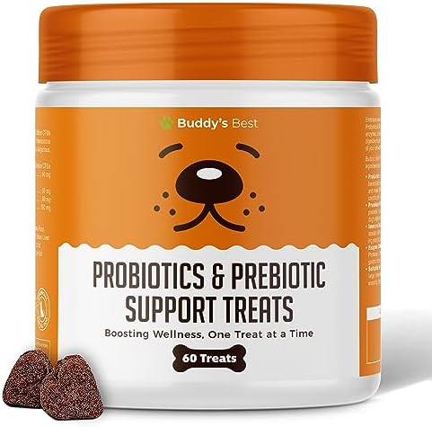 Image showcasing Probiotics & Prebiotic Support Treats For Dogs | Digestive Remedy | 60 ...