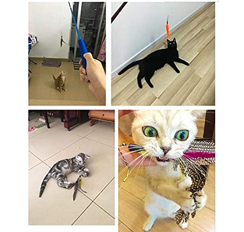 Image of Sunkizzrs Interactive Cat Feather Toy Set - Activity Toys for Kittens - Wand to Exercise Cats - Stick Toy for Indoor Persian Cats (Retractable Stick+Feather)