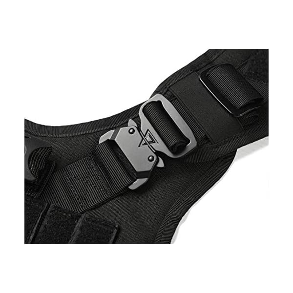 RubRab Tactical Dog Harness Vest with Handle Military Working Training Molle Vest with Metal Buckles & Loop Panels for Medium Large Dogs for Walking Hiking Hunting Training (L Black Harness) RubRab Tactical Dog Harness Vest with Handle Military Working Training Molle Vest with Metal Buckles & Loop Panels for Medium Large Dogs for Walking Hiking Hunting Training (L Black Harness)