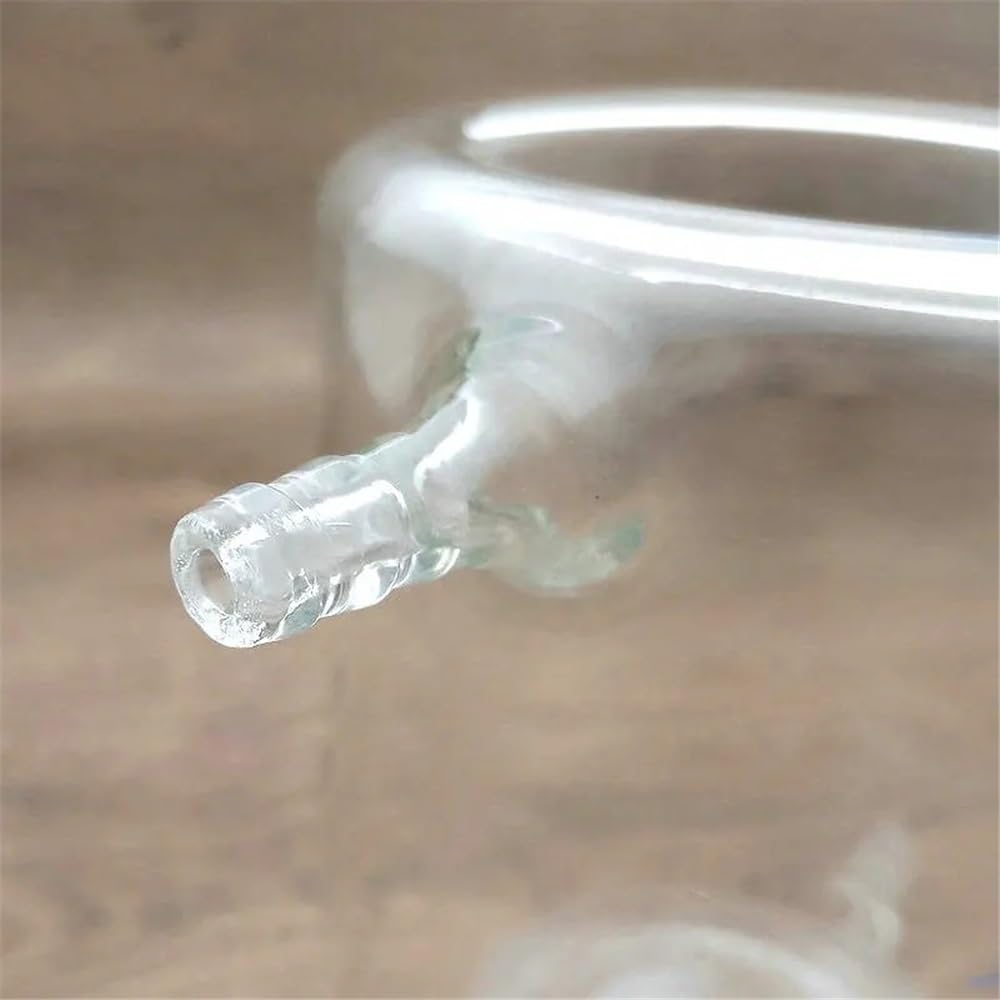 Vetreria da laboratorio 1 pz 50 ml a 1000 ml becher in vetro rivestito becher a doppio strato for reattore(200ml)