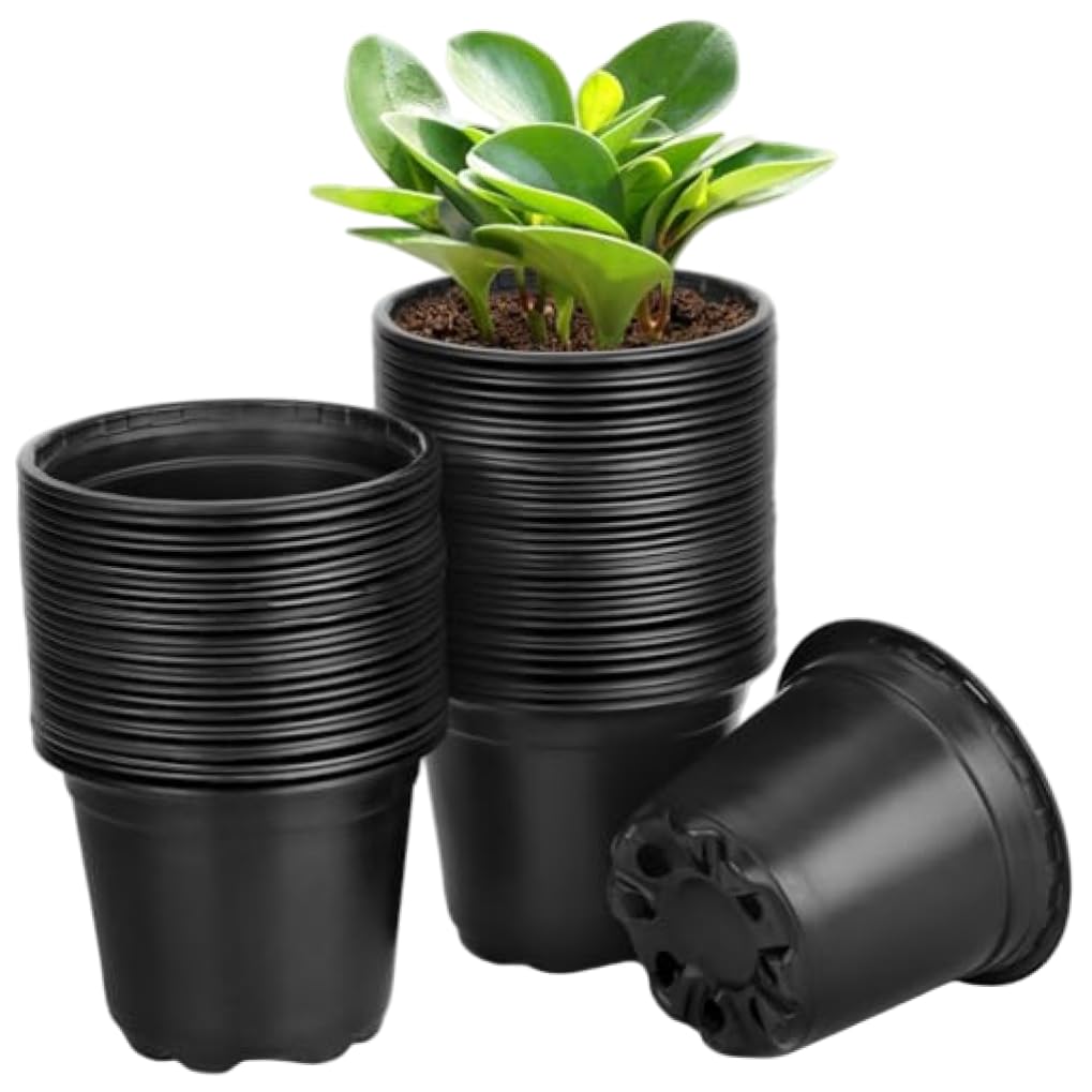 Grtheenumb Pots|5 Inch Pots, 60 Pack Plastic Nursery with Drainage Holes, Lightweight 5 Inch Plant for Seed Starting, Seedlings, Herbs and Flowers