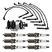 TRQ Ignition Coil and Spark Plug Kit 8 Piece Iridium Spark Plugs Compatible with 1998-2002 Volkswagen Passat
