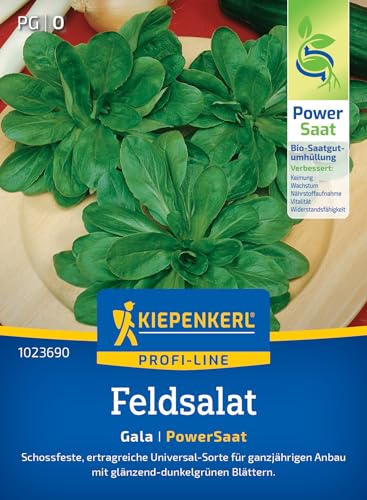 Kiepenkerl Profi-Line Feldsalatsamen Gala 1023690 - Schossfeste ertragreiche Universal- Sorte für ganzjährigen Anbau - Salatsamen Saatgut Schnittsalat