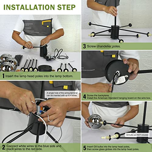 Yiisem Modern Glass Globe Chandelier with Glass Shade, 12-Light Black Sputnik Light Fixture, Magic Bean Hanging Chandeliers Lighting for Dining Room, Living Room, Bedroom, Kitchen - Image 6