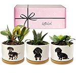 Cake Toppers Dachshund