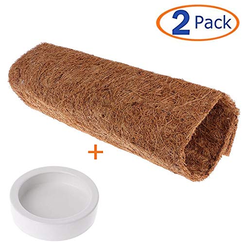 25 Best Bearded Dragon Bedding in 2020 (Buying Guide & FAQs)