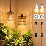 2 Pack Hanging Grow Lights for Indoor Plants Boho Rattan Plant Light