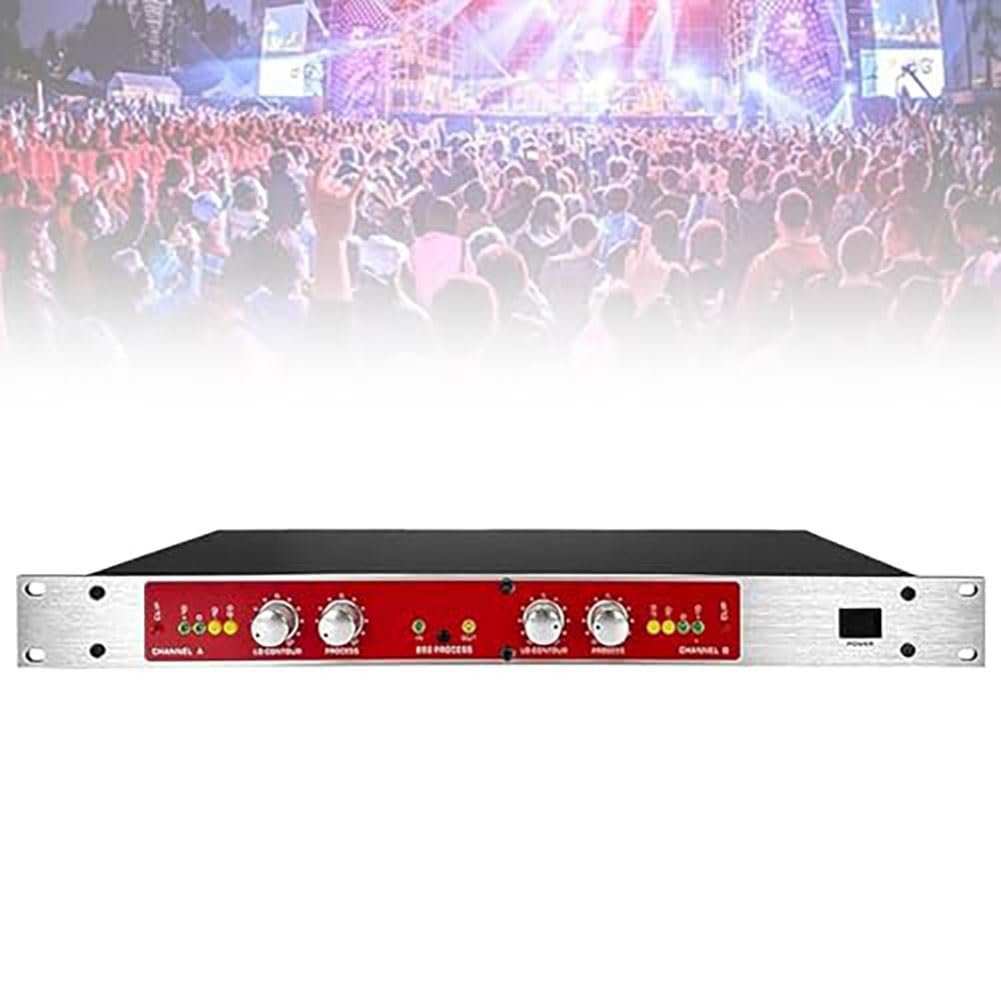 Processore audio professionale, doppio canale, autotune, eccitazione vocale & sonora, per karaoke casa, palco, spettacolo.