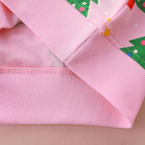 Image of Bumeex Girls Cotton Crewneck Cute Sweatshirts The Hedgehog and The Fox Pink 2-7T