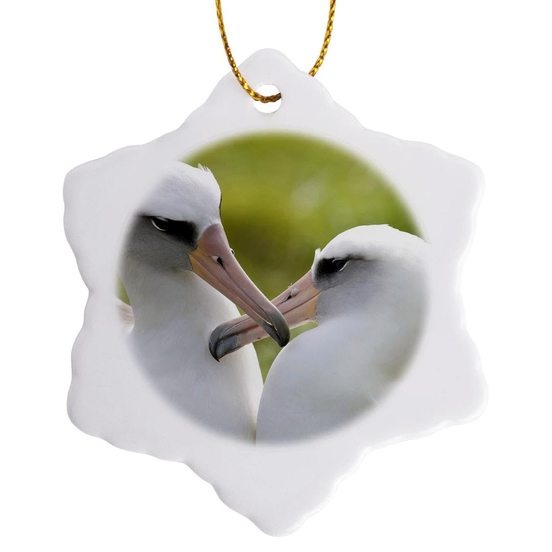 Adorno de porcelana de Laysan Albatross de 3 pulgadas y forma de copo de nieve