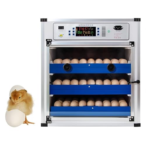 z ƒpz dgz x ] gC zE琗̌^ Ɨt e EY/{/Aq/K`E d͐݌v p ƒp Ɩp K͔_ƌ(204Egg,AC/DC)