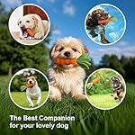 Easter Dog Toy Squeaky Chew Toys for Aggressive Chewers Dog Rubber Toy for Training and Cleaning Puppy Teething Toys Durable Interactive Tough for Puppy Medium - Image 5