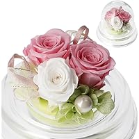 Amazon | プリザーブドフラワーカフェ プリザーブドフラワー ポエム