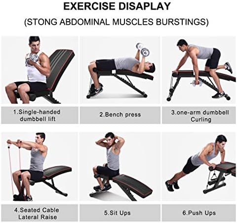 Yoleo Commercial Weight Bench, Adjustable/Foldable Strength Training Bench, Utility Incline/Decline Bench for Full Body Workout with Fast Folding-Latest Model