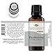 Plant Therapy Deodorizing Essential Oil Blend 30 mL (1 oz) 100% Pure, Undiluted, Therapeutic Grade