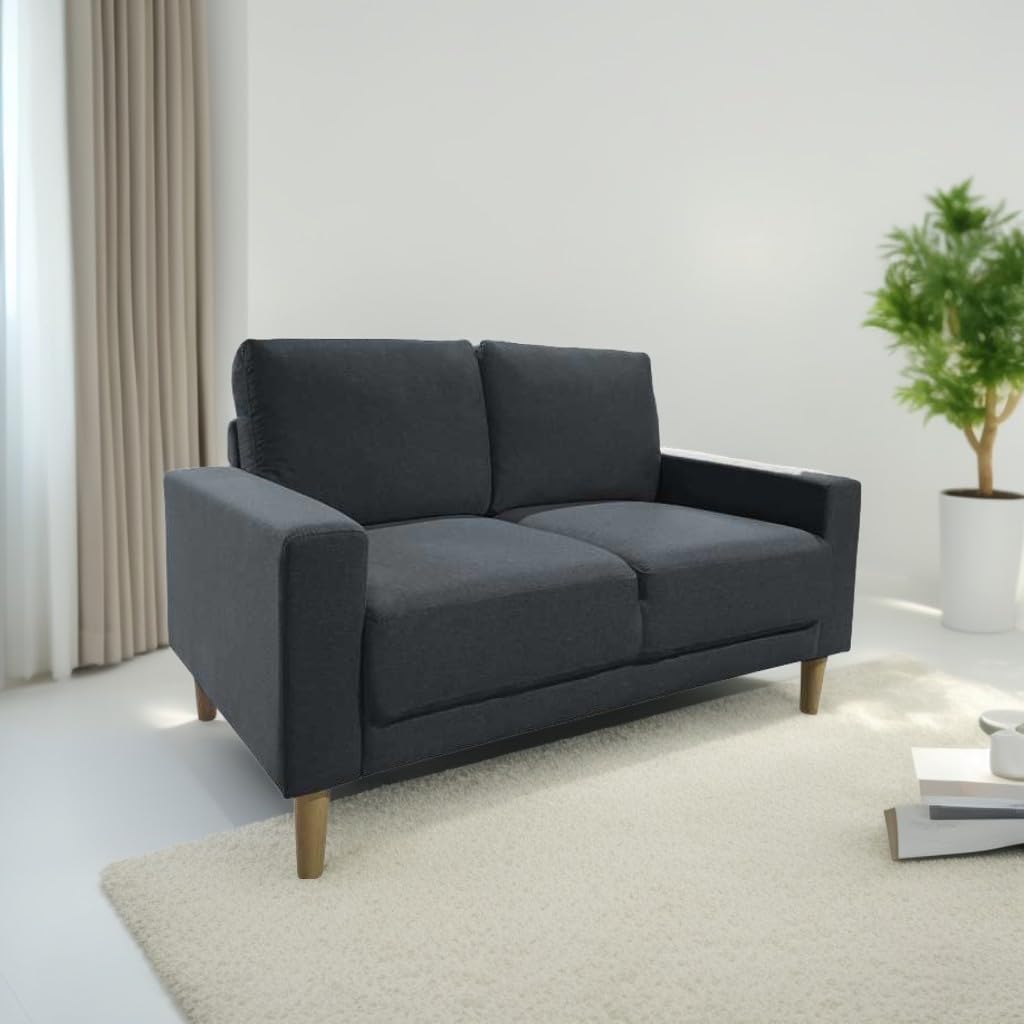 MUEBLIX.COM | Sofá Carlo de 2 Plazas | Moderno Sofá de Salón | Confortable y Tapizado en Tela | Suspensión de Muelles y Correas | Cojín del Asiento y Respaldo de Espuma