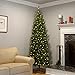 National Tree Company 9 ft Pre-Lit Kingswood Fir Slim Artificial Christmas Tree, 500 Clear Lights, 1,443 Tips, Includes Stand, Green