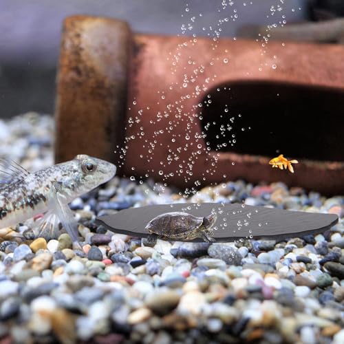 Plateforme escalade pour tortue surface prélasser petits reptiles - 7