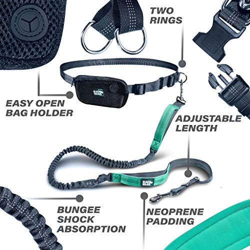 Black Rhino - Premium Hands Free Dog Leash For Running Walking Jogging & Hiking - Adjustable Length Dual Handle Bungee Leash Medium – Large Dogs Neoprene Padded Handles - Running Pouch Included Aqua #TOP2