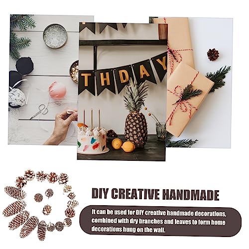 Set de 5 conos de pino secos decorativos para Navidad miniatura 4