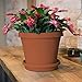 Bloem Terra Plant Saucer Tray for Planters 9-12