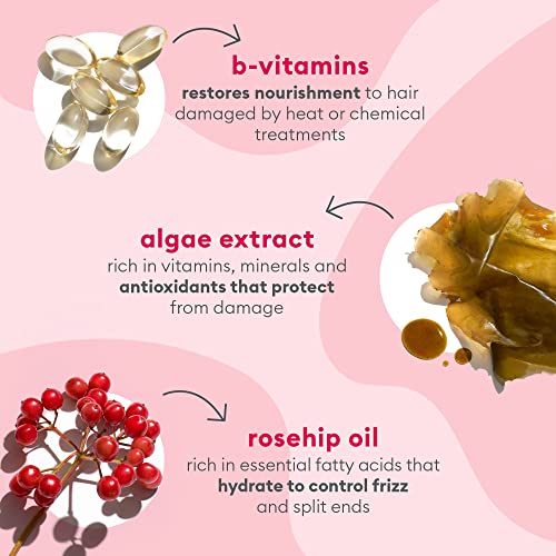 Briogeo Don’t Despair, Repair! Strength + Repair Solutions Set, Hair Repair Shampoo, Conditioner Plus Mini Hair Mask, Mini Hair Oil And Mini Rice Water Protein + Moisture Strengthening Treatment, 35.03 Fl Oz. #TOP4