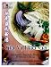 Essence of Lotus Instant Pho Broth For Vietnamese Noodle Soup (Chicken Pho Broth Mix, 6-Pack)