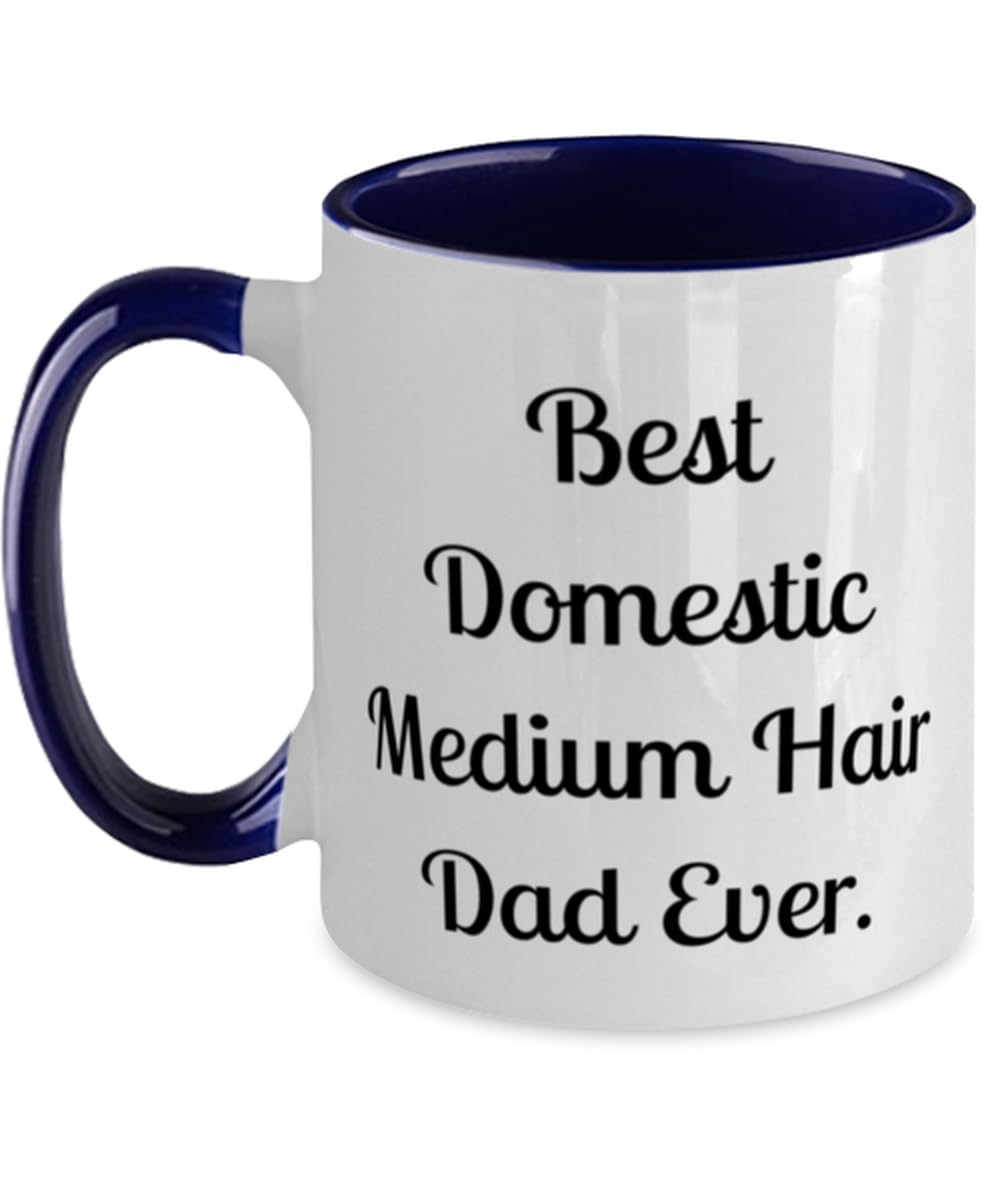 Best Domestic. Domestic Medium Hair Cat Two Tone 11oz Mug, Best Domestic Medium Hair Cat Gifts, Cup For Cat Dad from Friends, Domestic medium hair cat cup gift ideas, Domestic medium hair cat cup