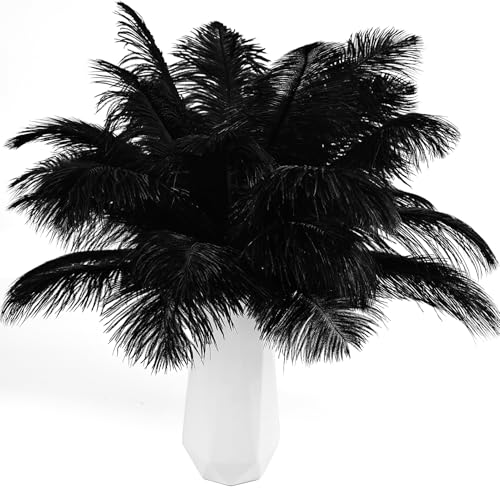 THARAHT Black Ostrich Feathers 12pcs Natural Bulk 8-10Inch 20cm-25cm for Crafts Wedding Party Centerpieces Halloween and Home Decoration Feathers